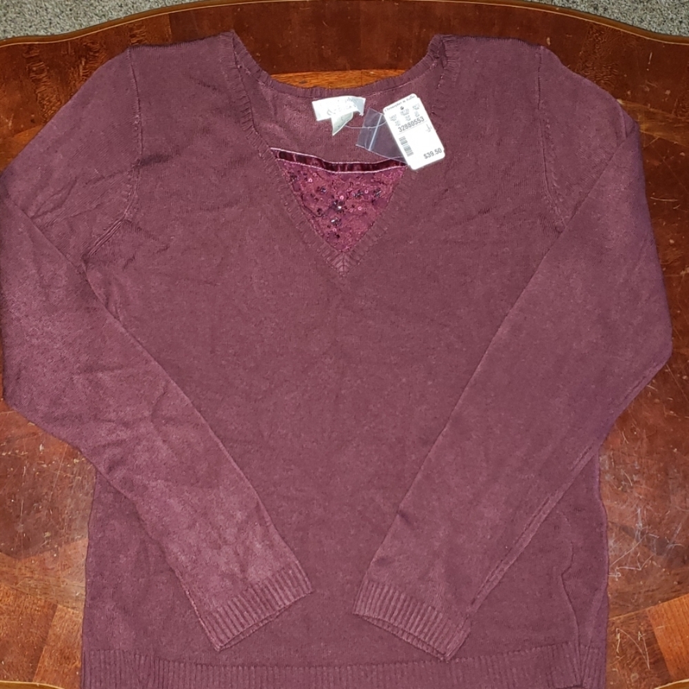 Christopher and Banks Sweater with Sequence Vneck